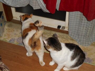 9月13日（18-0）仮