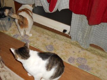 9月10日（18-1）仮