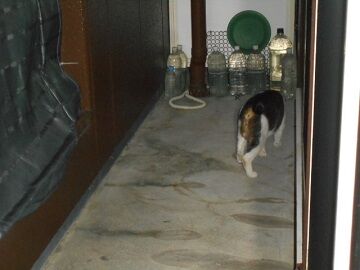 9月21日（20-8）仮