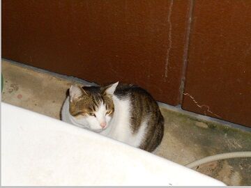 1月30日（48）仮