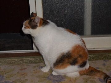 9月17日（5-10）仮