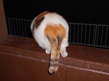 10月4日（5-2）仮