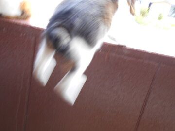 11月13日（16）仮