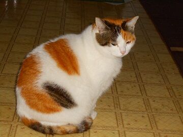 11月30日（12）仮