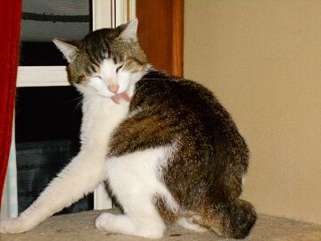 5月13日（62）仮