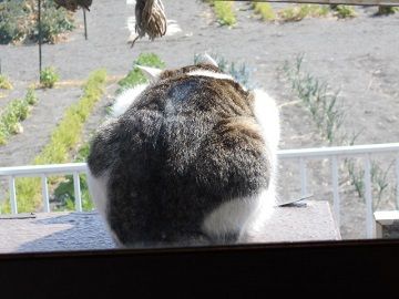 3月4日(11)
