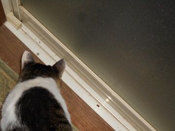 9月21日（3-2）仮