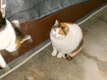 11月22日（13）仮