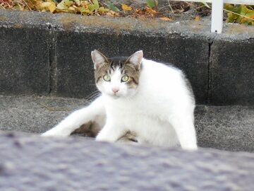 9月27日（10）仮