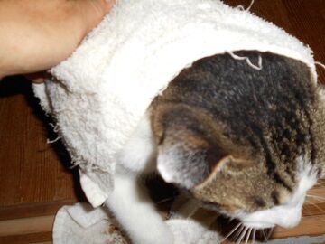 10月12日（18）仮