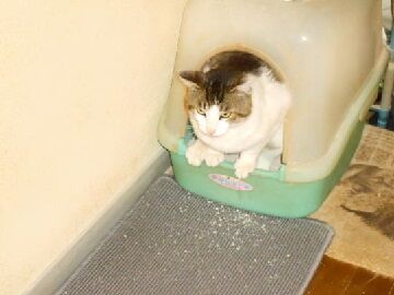 5月19日（23）仮