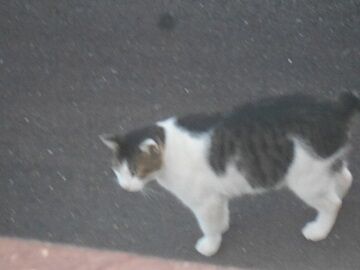 8月16日（17）仮