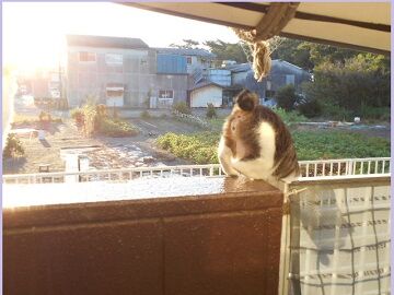 9月15日（27）仮