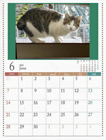 6月