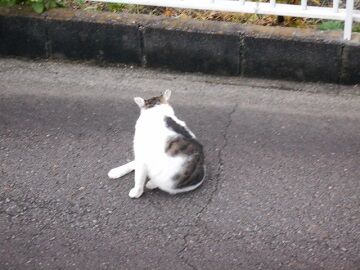 9月27日（7-10）仮