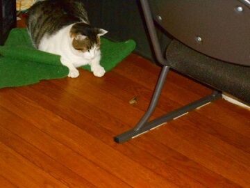 11月1日（58）仮