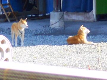 12月20日（5）仮