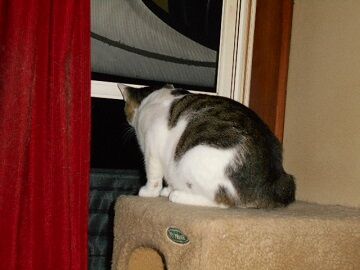 7月22日（70）仮