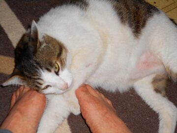 5月24日（32）仮