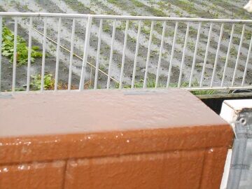 12月2日（35）仮