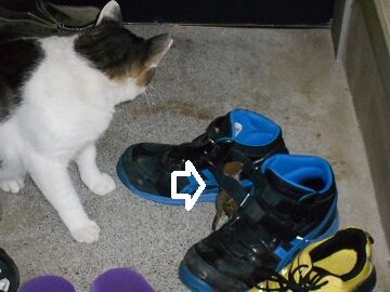 9月24日（23-1）仮