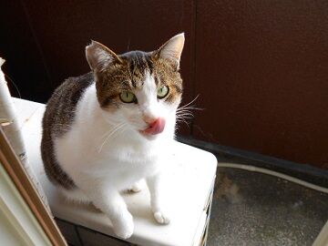 11月13日（14）仮