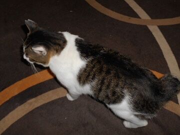 9月17日（27）仮