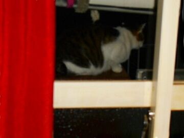 11月10日（3）仮