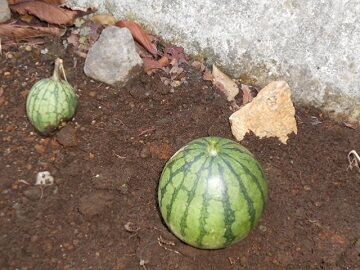 9月30日（10-8）仮