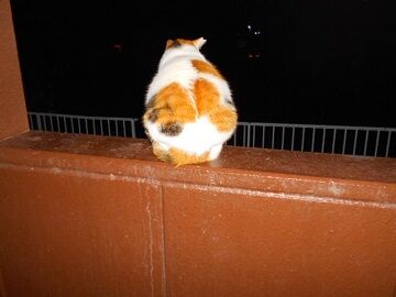 10月23日（78）仮