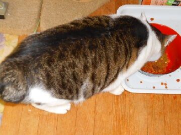 11月30日（20）仮