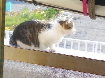 3月18日（24）仮