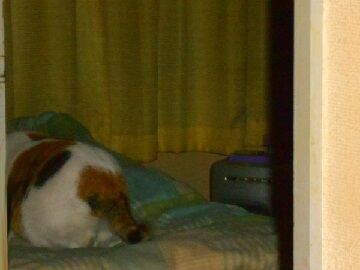 11月30日（48）仮