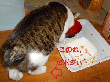 12月19日（4）仮