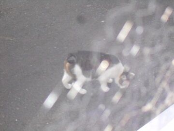 5月10日（17）仮