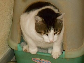 7月30日（24）仮