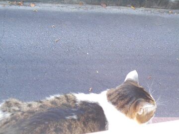 11月18日（30）仮