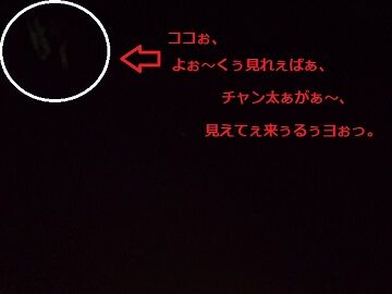 9月23日（21-4.5）