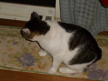 9月26日（20-1）仮