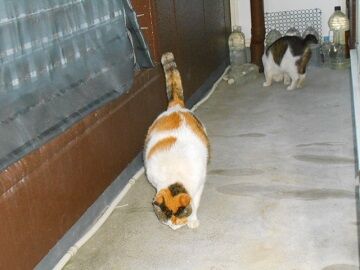 5月19日（36）仮