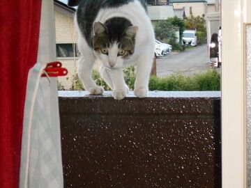 9月25日（6-6）仮