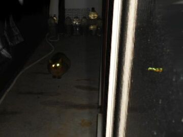 12月8日（21）仮