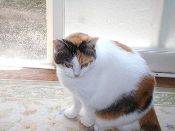 9月30日（10-1）仮