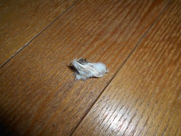 2月12日(2)