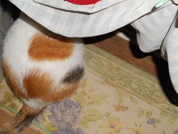 9月30日（23-6）仮