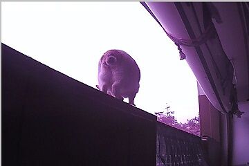 12月30日（22.2）仮