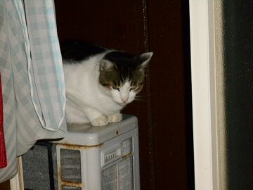 9月29日（20-6）仮