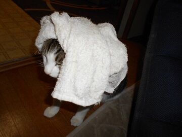 9月22日（20-3）仮