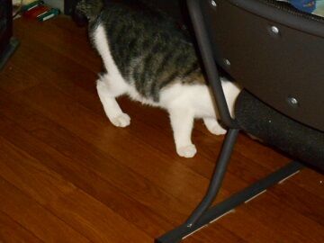 9月13日（50）仮