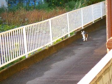 10月23日（42）仮